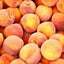 Foods to Avoid for Digestive Health