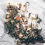 What Actually Is Traditional Chinese Medicine?