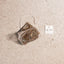 Anti-C Herbs Tea Bundle